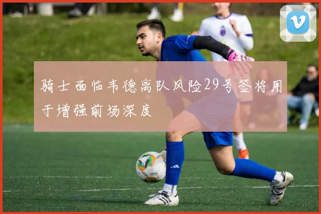 骑士面临韦德离队风险29号签将用于增强前场深度